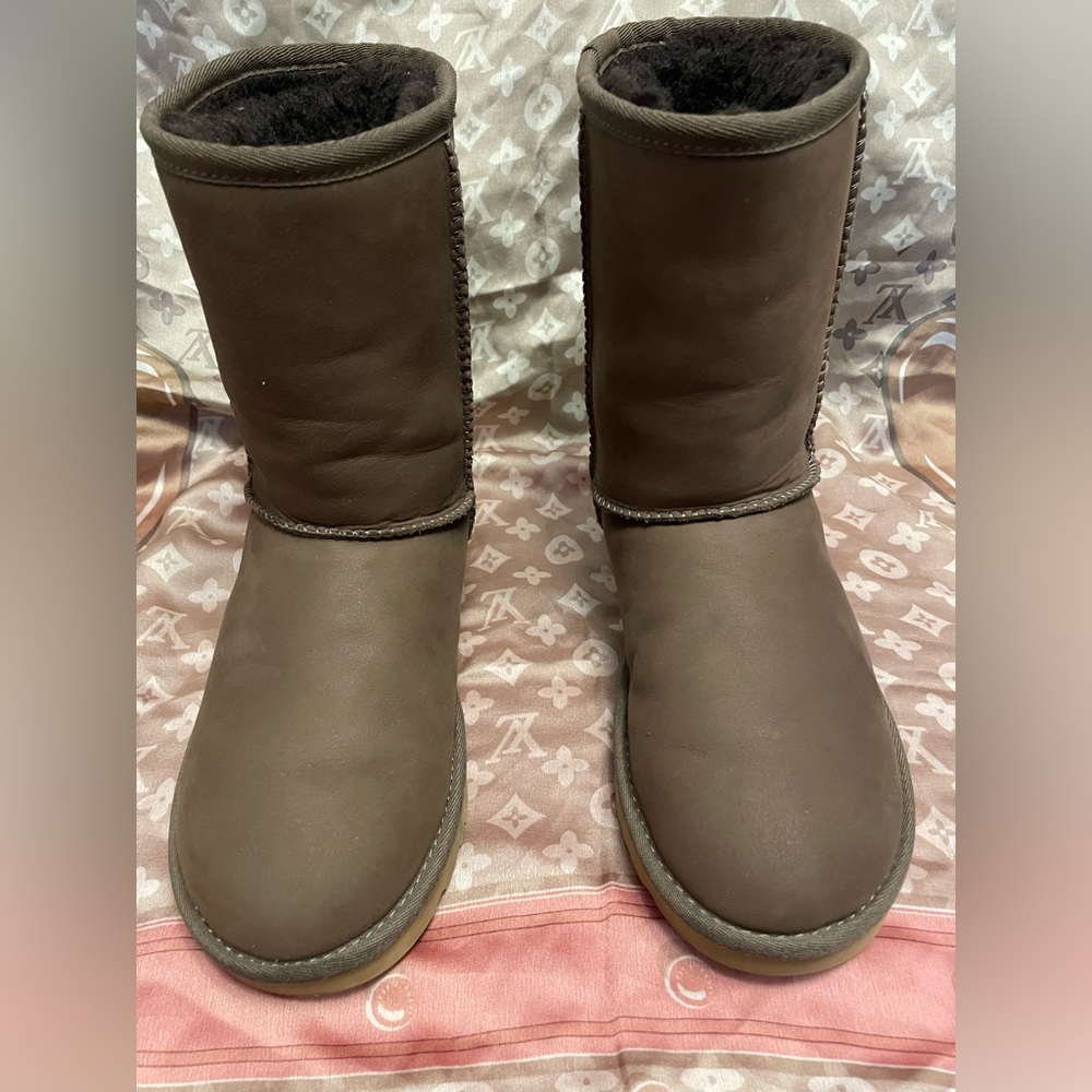 Brown Classic Short Ugg Boot
